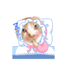 コスプレにゃんこ4（個別スタンプ：4）