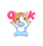 コスプレにゃんこ4（個別スタンプ：9）