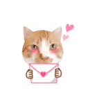 コスプレにゃんこ4（個別スタンプ：13）