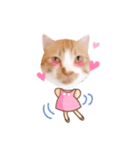 コスプレにゃんこ4（個別スタンプ：14）