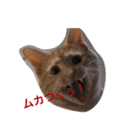 きなこだよ（個別スタンプ：7）