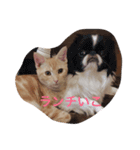 きなこだよ（個別スタンプ：9）