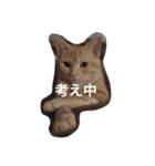 きなこだよ（個別スタンプ：14）
