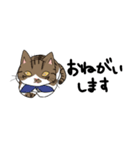 めぃとむぅとときどきまろん（個別スタンプ：2）