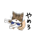 めぃとむぅとときどきまろん（個別スタンプ：13）