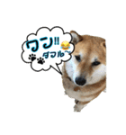 我が家の日本犬 ver1.2（個別スタンプ：5）