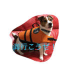 レオンの夏！（個別スタンプ：3）