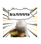 ぼくはあず。（個別スタンプ：4）