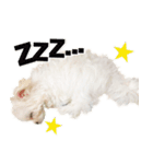 ぼくはあず。（個別スタンプ：7）