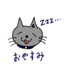 キャット君のスタンプ（個別スタンプ：4）