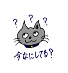 キャット君のスタンプ（個別スタンプ：5）