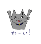 キャット君のスタンプ（個別スタンプ：10）