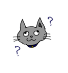 キャット君のスタンプ（個別スタンプ：14）