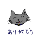キャット君のスタンプ（個別スタンプ：15）