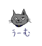 キャット君のスタンプ（個別スタンプ：17）