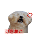 ぽぽ、ときどきジル（個別スタンプ：2）