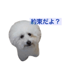 ぽぽ、ときどきジル（個別スタンプ：16）