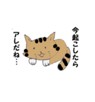 Invective of cat（個別スタンプ：2）