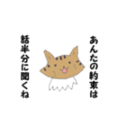 Invective of cat（個別スタンプ：4）