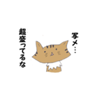 Invective of cat（個別スタンプ：5）