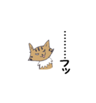 Invective of cat（個別スタンプ：6）
