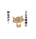 Invective of cat（個別スタンプ：7）
