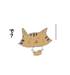 Invective of cat（個別スタンプ：8）