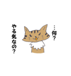 Invective of cat（個別スタンプ：11）