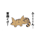 Invective of cat（個別スタンプ：12）