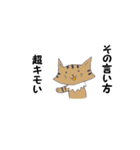 Invective of cat（個別スタンプ：13）