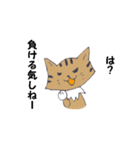 Invective of cat（個別スタンプ：14）