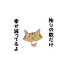 Invective of cat（個別スタンプ：15）