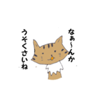 Invective of cat（個別スタンプ：16）