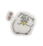 ぷくぷくフクロウ1（個別スタンプ：9）