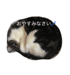 グリさん（個別スタンプ：7）