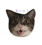 グリさん（個別スタンプ：8）