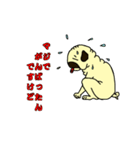 変パグ（個別スタンプ：5）