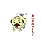 変パグ（個別スタンプ：36）