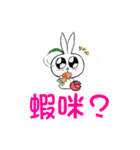Tulip Rabbit-Siti（個別スタンプ：2）