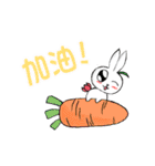 Tulip Rabbit-Siti（個別スタンプ：6）