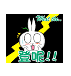 Tulip Rabbit-Siti（個別スタンプ：9）