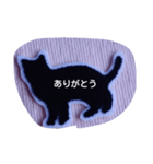 猫ちゃんがスタンプになりました（個別スタンプ：3）