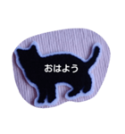 猫ちゃんがスタンプになりました（個別スタンプ：5）