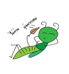 Naughty Insect（個別スタンプ：12）