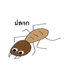 Naughty Insect（個別スタンプ：20）
