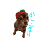 utasannotsubuyaki2（個別スタンプ：3）