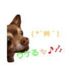 utasannotsubuyaki2（個別スタンプ：24）