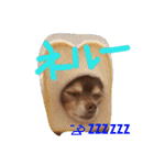 utasannotsubuyaki2（個別スタンプ：29）