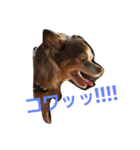 utasannotsubuyaki2（個別スタンプ：33）