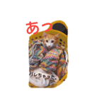 世界一かわいいアルバスタンプ（個別スタンプ：5）